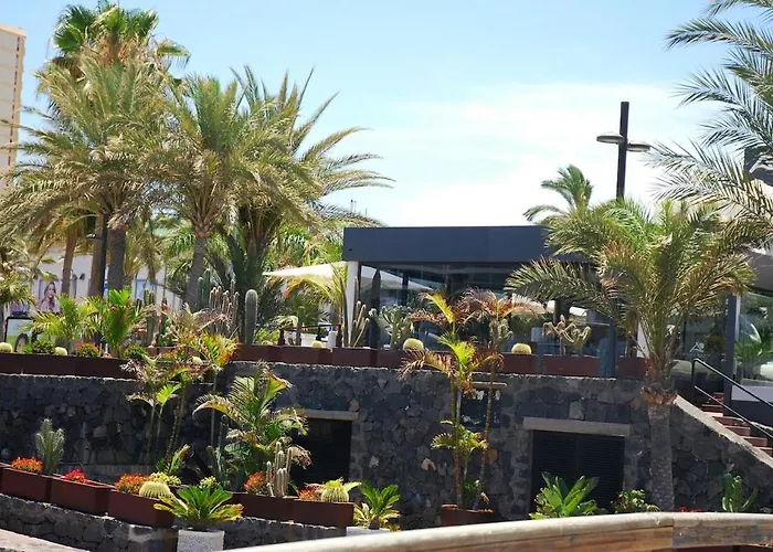 Island Pool Escape Lejlighed Costa Adeje (Tenerife)